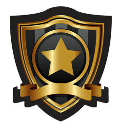 VIP Medal