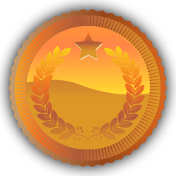 Bronze Medal